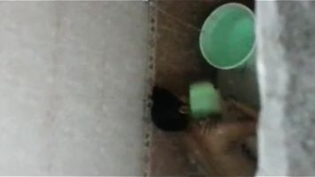 Girl Caught In Hostel Shower - Movies.