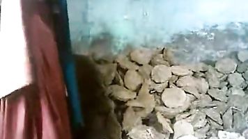 DesiSex24.com – tamil couple sex fucking at construction site in mumbai